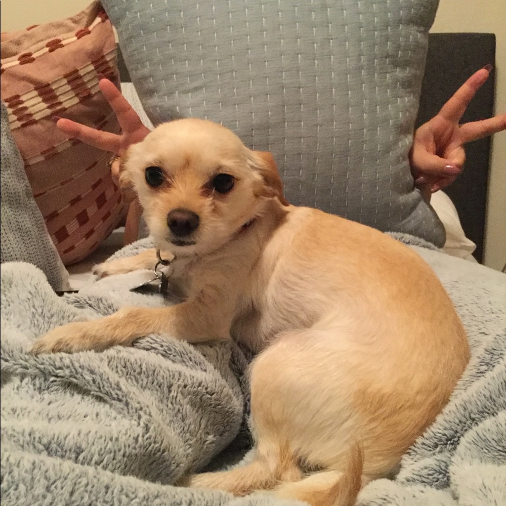 Meet your Posher, Emely